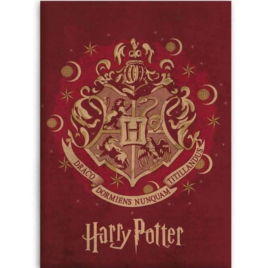 Harry Potter Coperta Pile 150x130cm - Hogwarts, Gadget Ufficiale, Morbida E Calda - Foto 11
