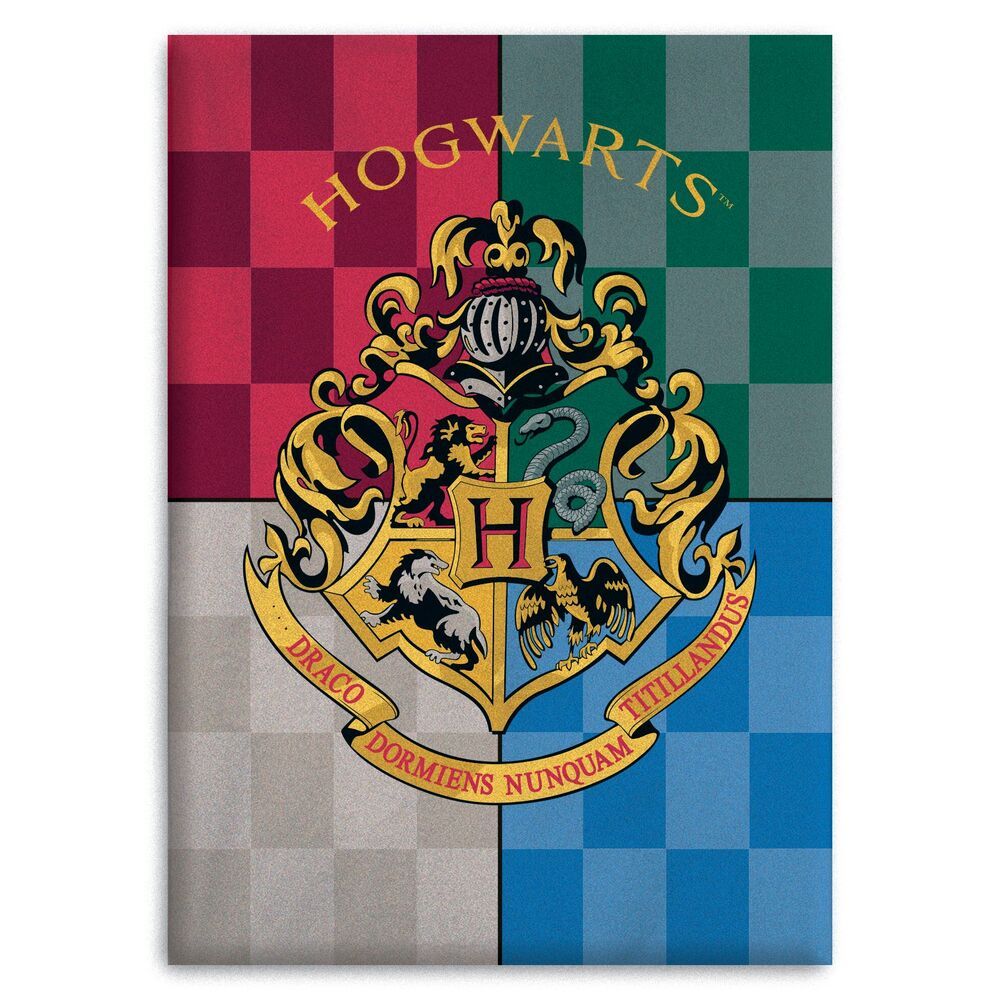 https://www.radioguido.com/images/stories/virtuemart/product/coperta-plaid-pile-harry-potter.jpg