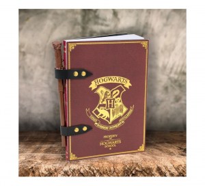 Harry_Potter_Diario6