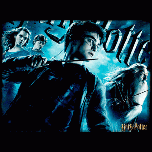 harry-potter-3d-puzzle-500pz-foto