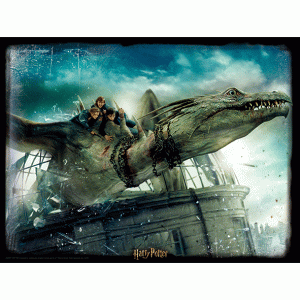 harry-potter-drago-3d-puzzle-500pz-foto