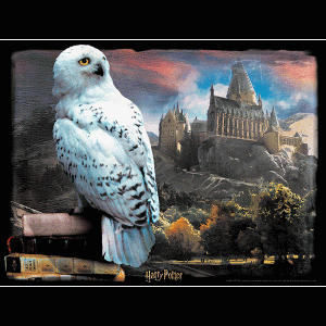 harry-potter-hedwig-3d-puzzle-500pz-foto