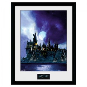 harry-potter-hogwarts-quadro