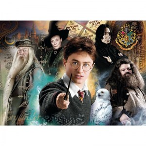 harry-potter-puzzle-500pz-foto