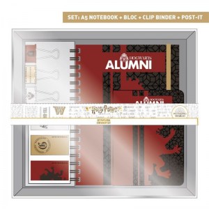 harry-potter-set-scuola9
