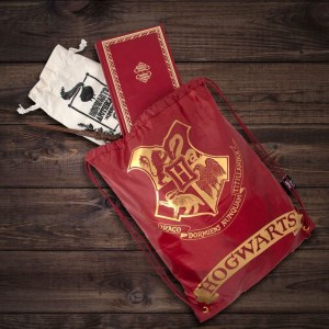 sacca-gym-harry-potter-2