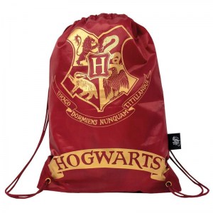 sacca-gym-harry-potter